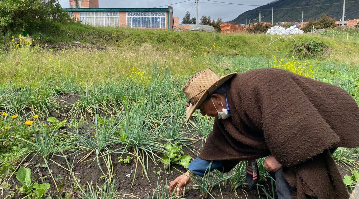 Campesino de Mochuelo